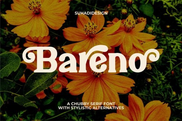 Bareno Serif Font Review for Modern Branding