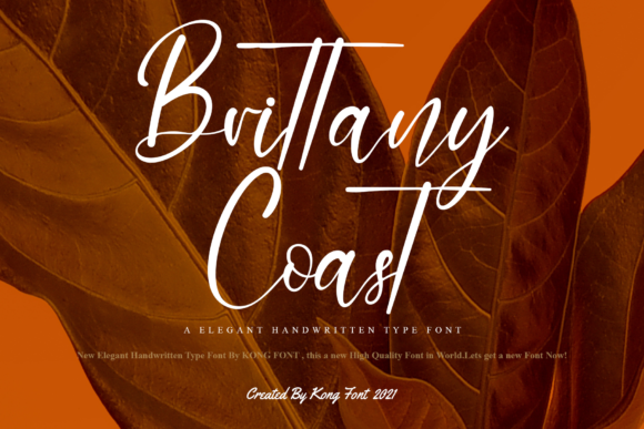 Brittany Coast Font Review for Real Projects