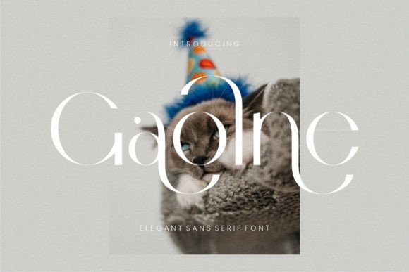 Gaolne: A Sophisticated Sans Serif for Modern Branding