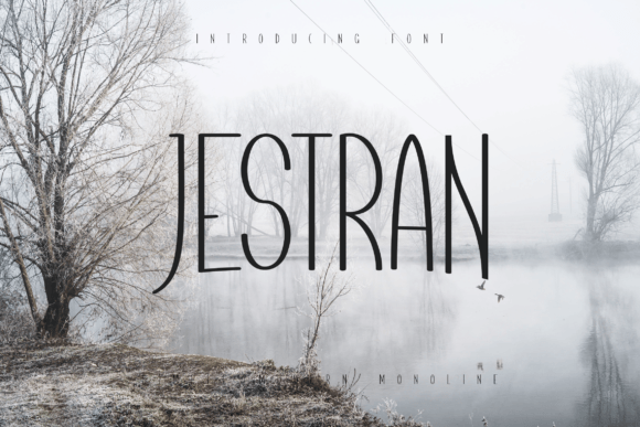 How Jestran Transformed My Brand’s Visual Identity