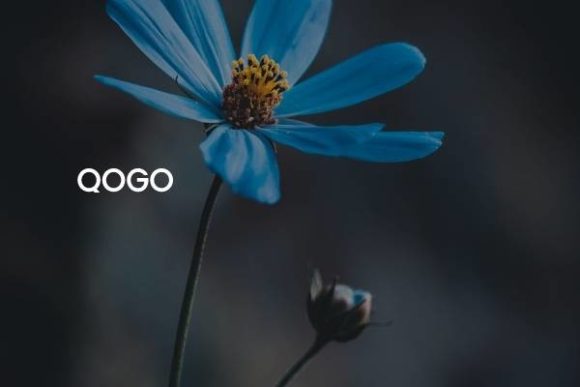 Qogo: A Modern Font for Strong Branding
