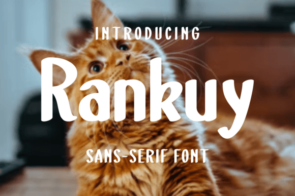 Rankuy: A Modern Sans Serif Font That Transformed My Brand