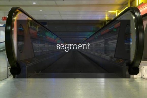 Segment: The Modern Slab Serif Font That Elevates Campaign Design