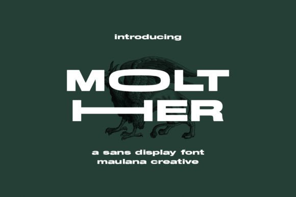 Testing Molther for a Modern Web Design Project