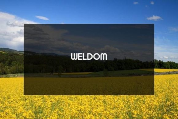 Weldom: A Modern Font for Small Business Branding